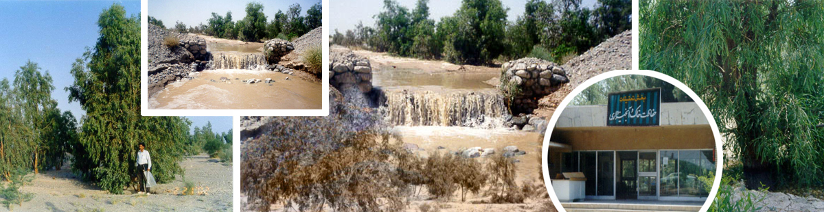 abkhiz.jpg