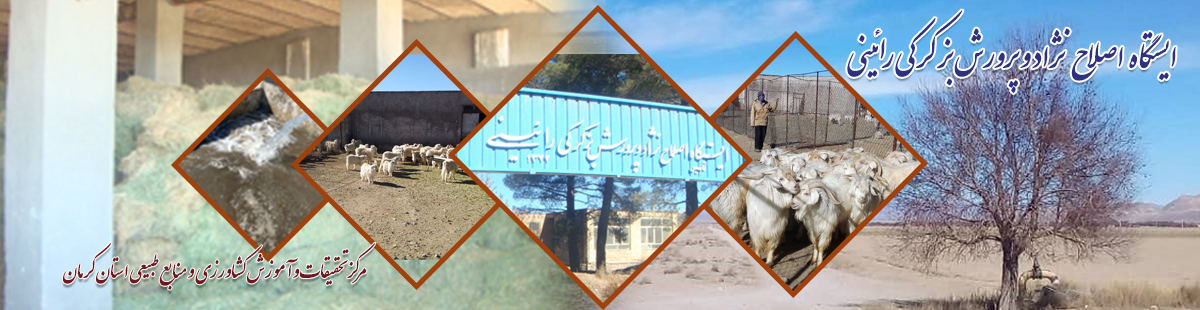 ایستگاه بز کرکی