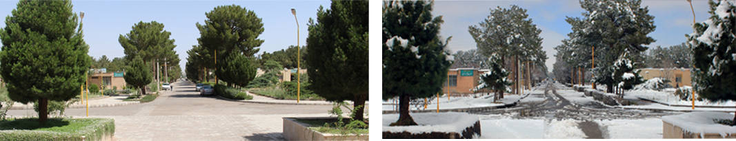 winter-summer.jpg